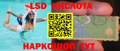 дмт Гусев