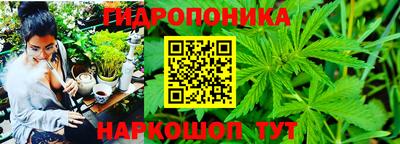 spice Гусь-Хрустальный
