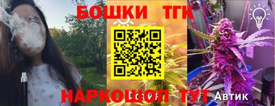 дмт Гусев