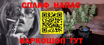 дмт Гусев