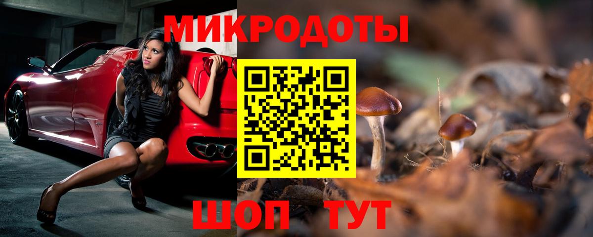Галлюциногенные грибы GOLDEN TEACHER  Галлюциногенные грибы мицелий  Касимов  продажа наркотиков  Вход с VPN 
